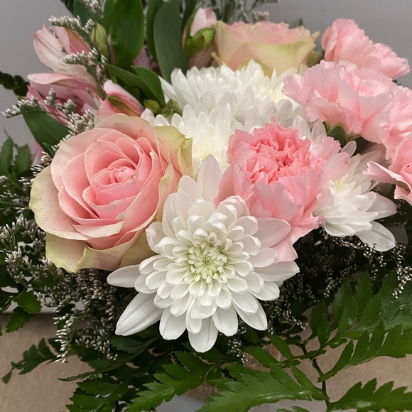 Meet your Posher, Vanja - Picture 1 of 1